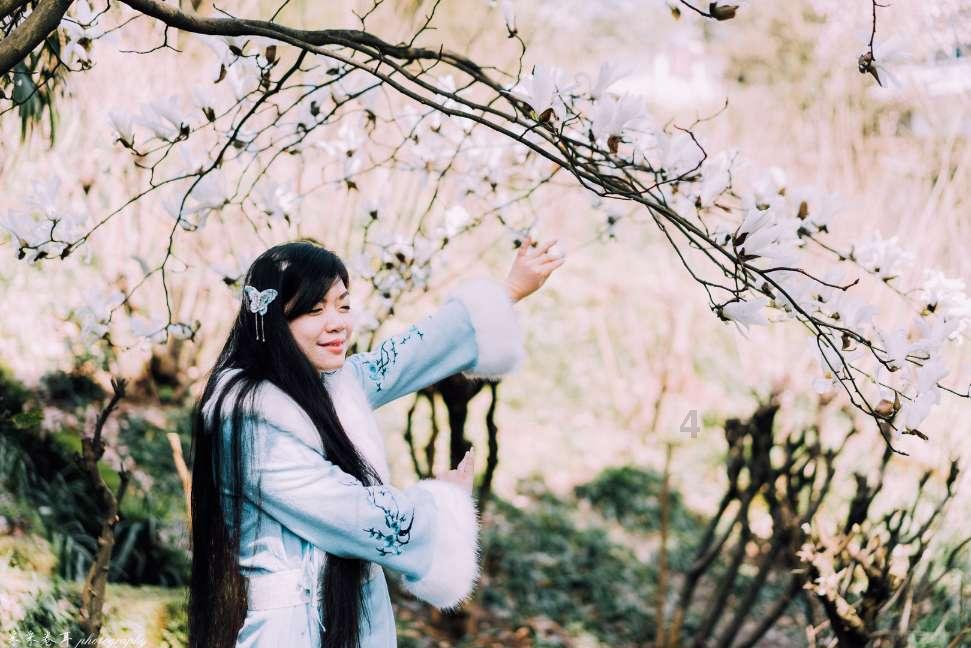 拯救小萌虎
